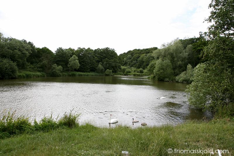 IMG_5555.jpg - Mølledammen ved Aller Mølle. Møllen ligger ved Taps Å i en kløft med dalsider på ca. 20 m's højde.