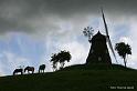 skamstrup_moelle_1