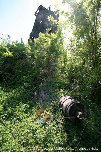 IMG_2209.jpg - ...